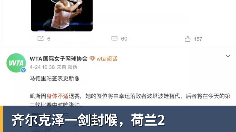 齐尔克泽一剑封喉，荷兰2