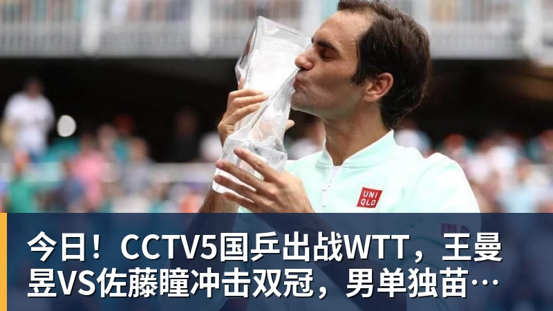 今日！CCTV5国乒出战WTT，王曼昱VS佐藤瞳冲击双冠，男单独苗周启豪PK松岛辉空